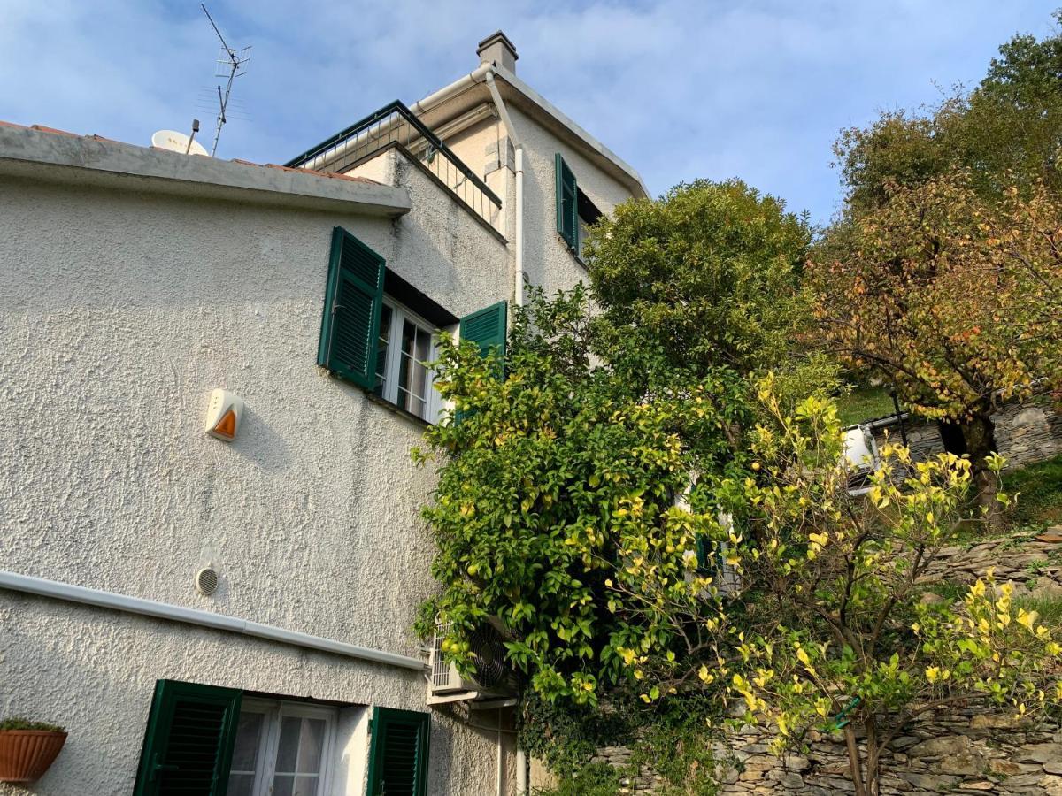 Il Giardino Di Piero - Lt-0029 Vila Salto Chiesa Exterior foto